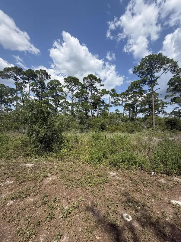 504 Tide Water Drive, Port St. Joe, FL 32456