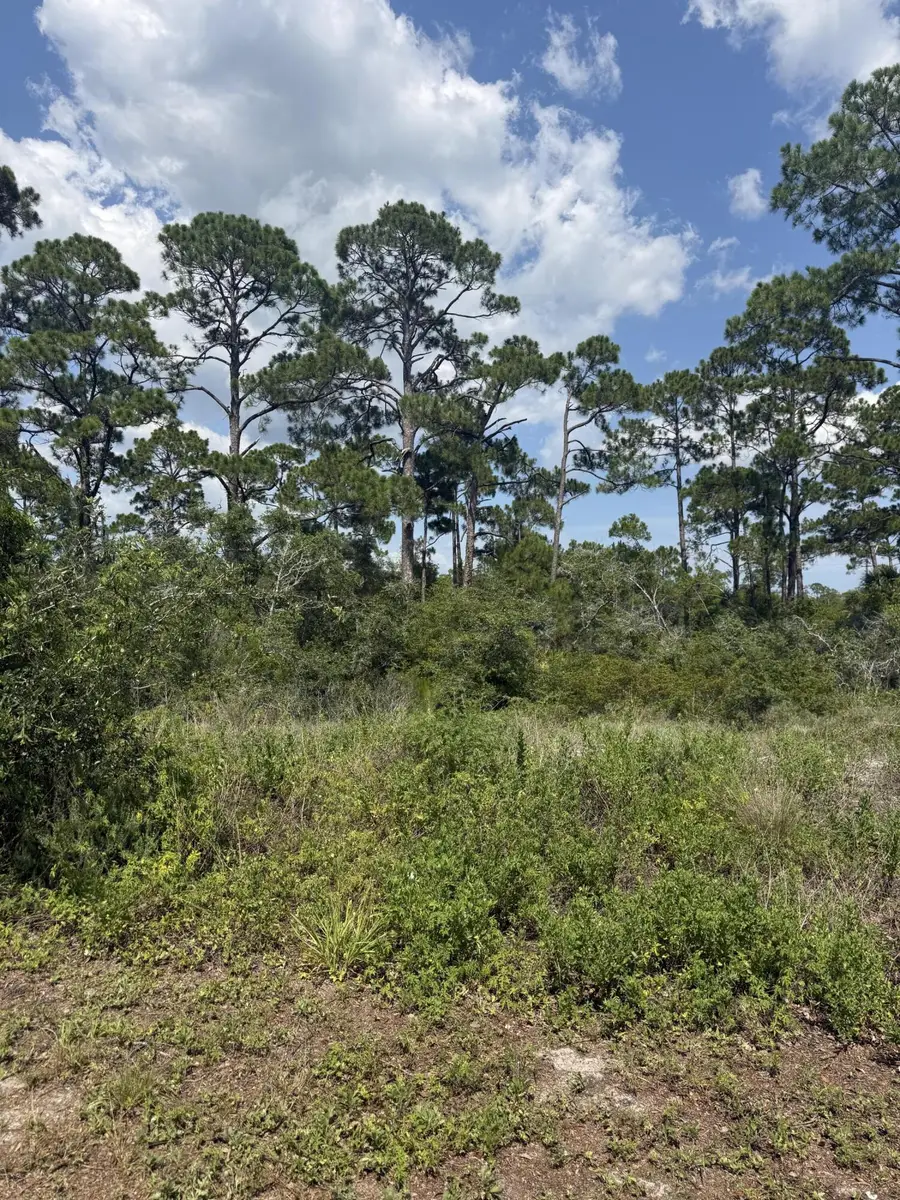 504 Tide Water Drive, Port Saint Joe, FL 32456 - #2