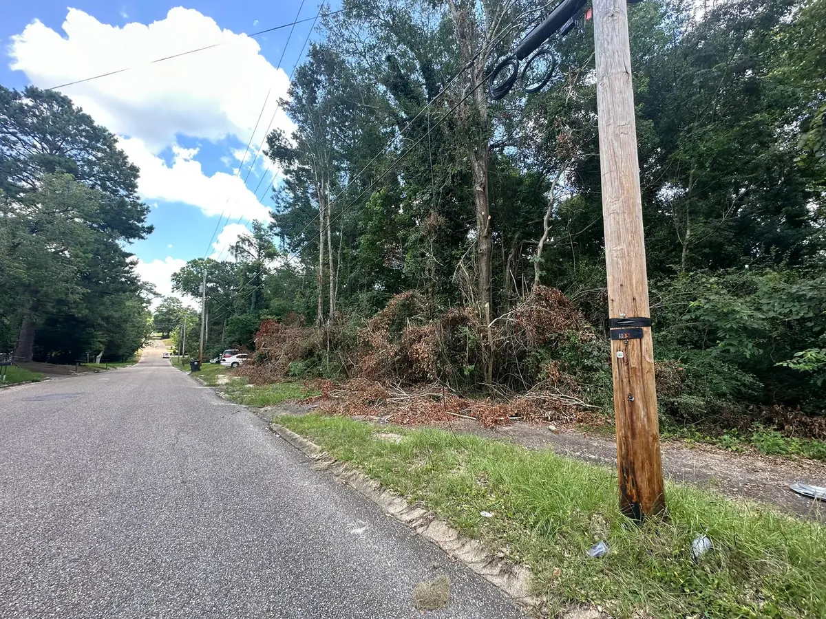 317 Smith Avenue, Andalusia, AL 00N/A - #1