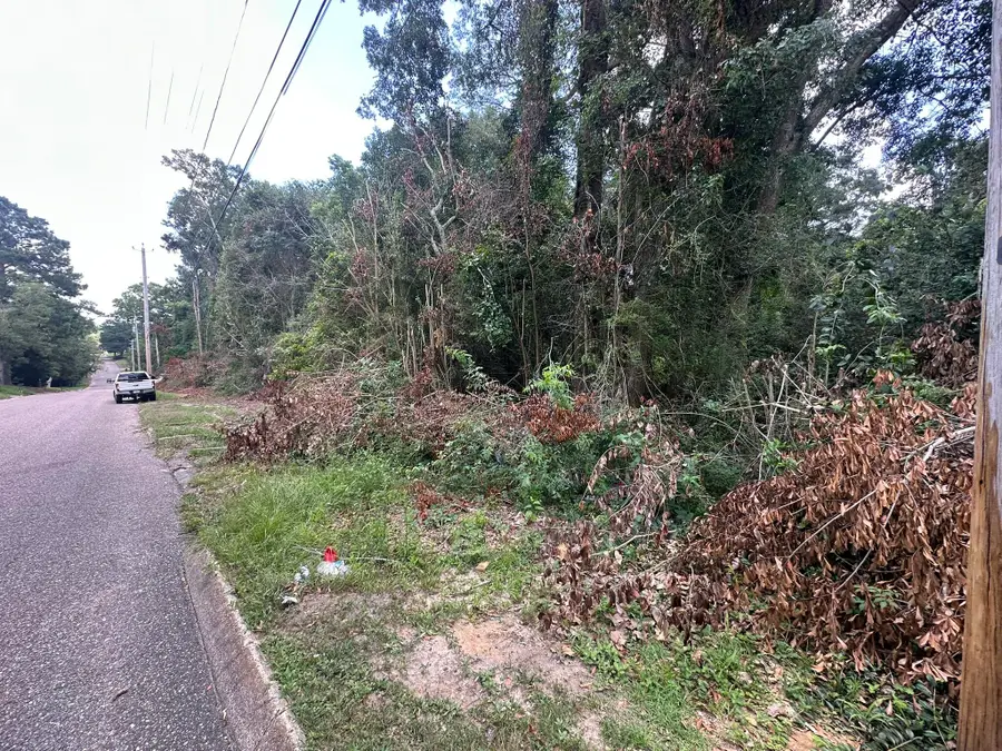 317 Smith Avenue, Andalusia, AL 00N/A - #2