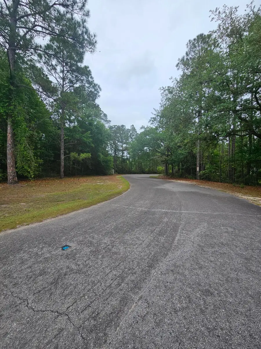 Lot #2 Dolphin Cove, Freeport, FL 32439 - #2