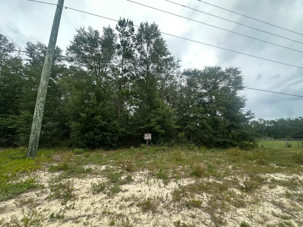 XXX W Us 90 Highway, Defuniak Springs, FL 32433 - #1
