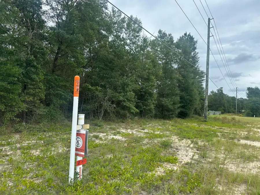 XXX W Us 90 Highway, Defuniak Springs, FL 32433 - #3