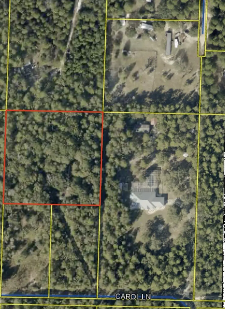 338 Carol Lane, Defuniak Springs, FL 32433 - #2