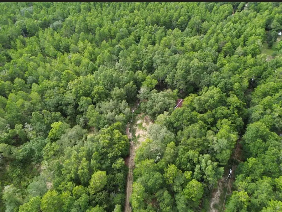 338 Carol Lane, Defuniak Springs, FL 32433 - #3