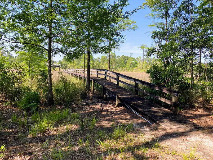 XXX Corral Road, Milton, FL 32583 - #3