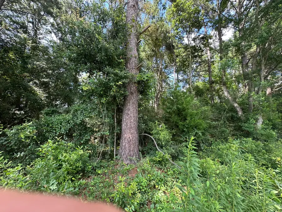 B2 Duval Drive, Opp, AL 00N/A - #2