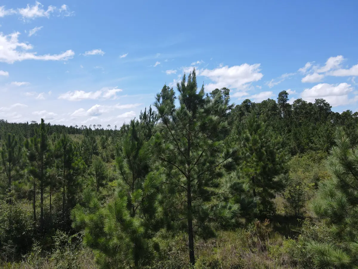 A-12 Silas Drive, Milton, FL 32570 - #1