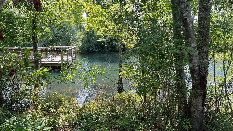 TBD Lot 1 S Marsh Landing #TBD (Lot 1), Freeport, FL 32439 - #2