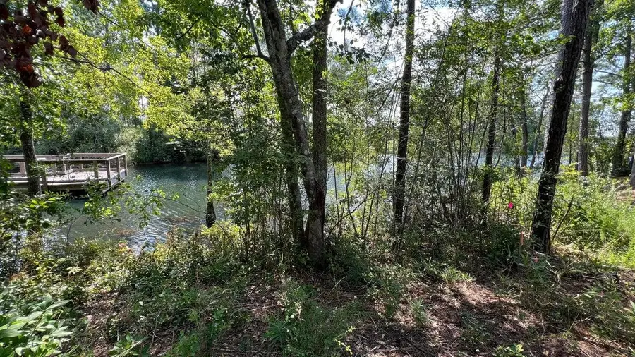 TBD Lot 1 S Marsh Landing #TBD (Lot 1), Freeport, FL 32439 - #3