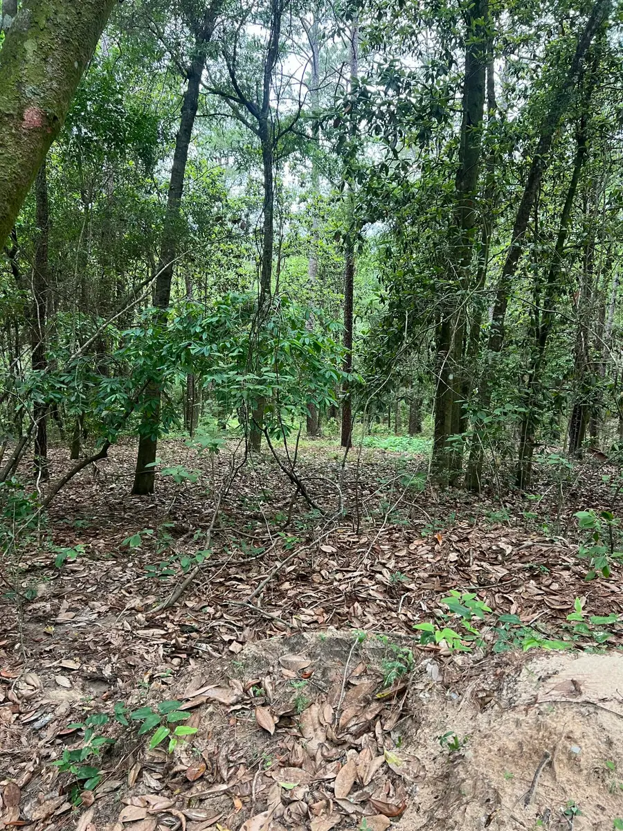 Parcel C Willow Lane, Crestview, FL 32539 - #3