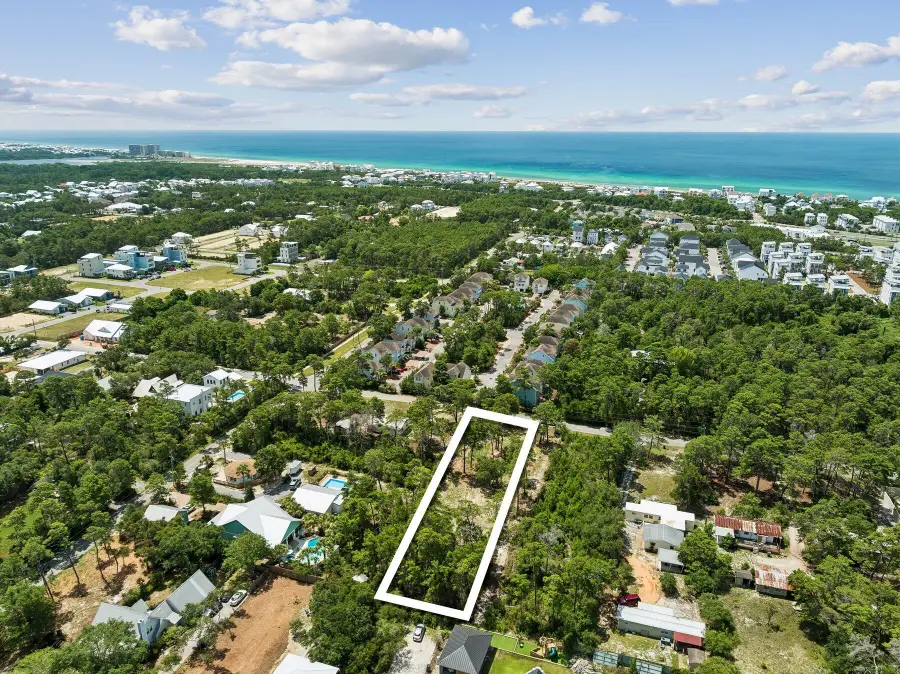 291 E Pinewood Lane, Inlet Beach, FL 32461 - #2