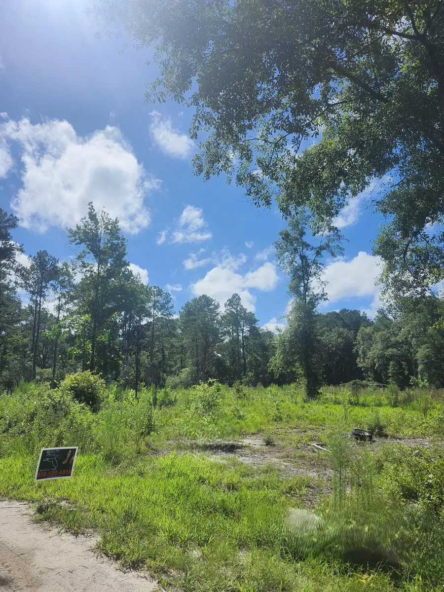 Lots 23&24 Plantation Lane, Defuniak Springs, FL 32433 - #2
