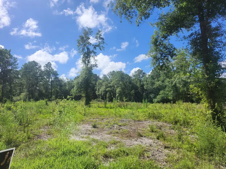 Lots 23&24 Plantation Lane, Defuniak Springs, FL 32433 - #3
