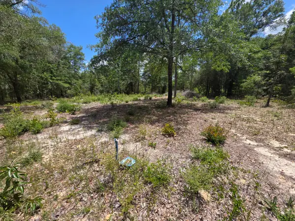 Lot 20 E Tulip East Avenue, DeFuniak Springs, FL 32433