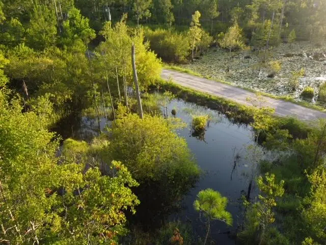 Lot 29 N Eden Park Drive, Santa Rosa Beach, FL 32459 - #2
