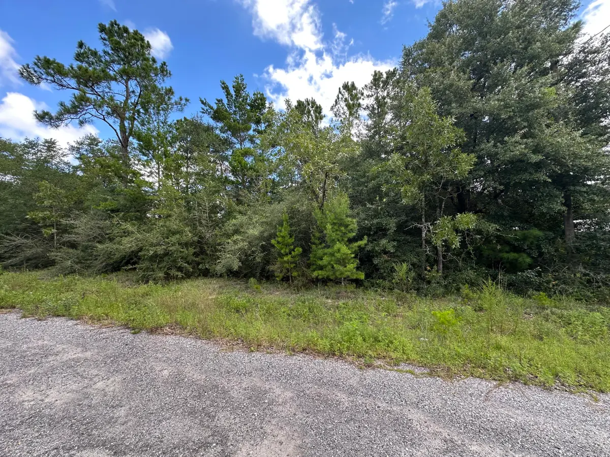TBD Pinetree Lane, Defuniak Springs, FL 32433 - #1