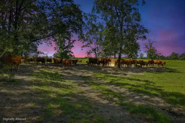520 Acres Us Hwy 331 N, DeFuniak Springs, FL 32433