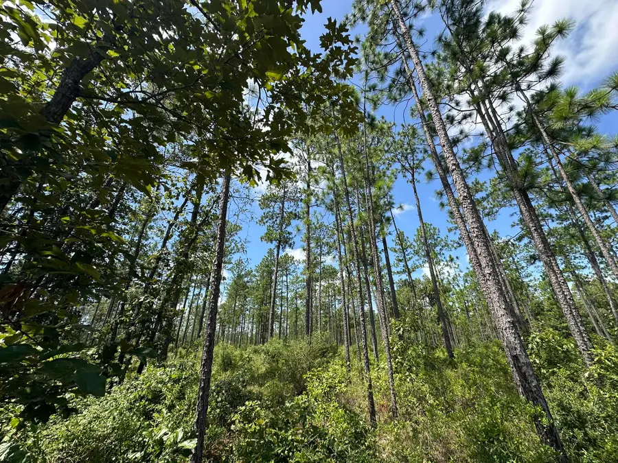 6389 County Line Road #B, Baker, FL 32531 - #3