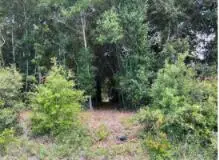 702 Live Oak Street, Freeport, FL 32439 - #3