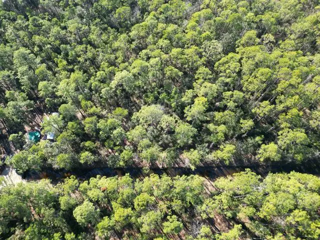 Lots 7,8,9 N 16th Street, Santa Rosa Beach, FL 32459 - #3