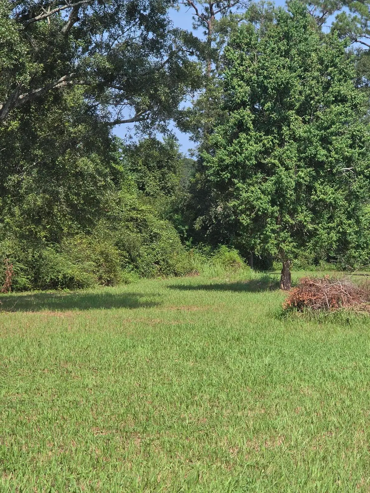 762 Doctor Nelson Road, Defuniak Springs, FL 32433 - #1
