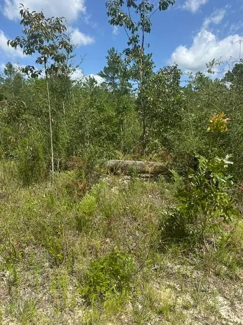 4 Daffodil Court, Walton, FL 32434 - #2