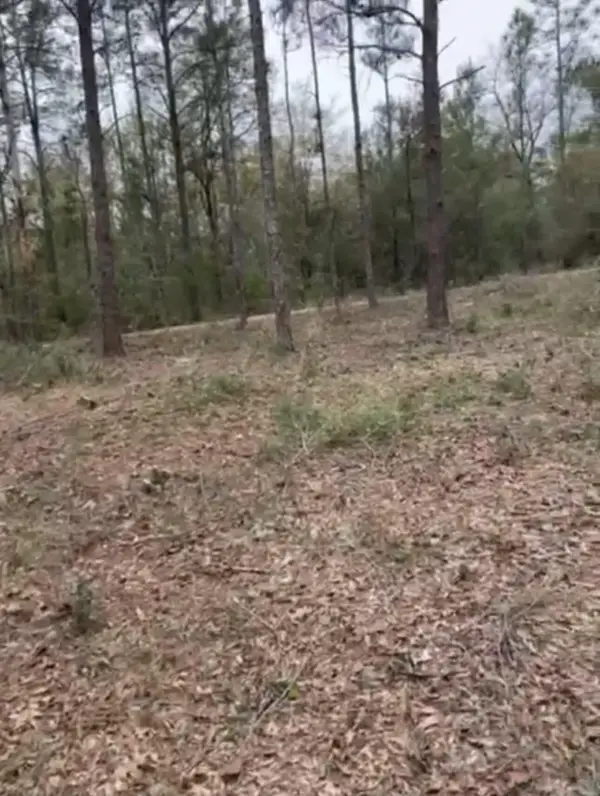 lot 28-29 E Black Cherry Drive, DeFuniak Springs, FL 32433