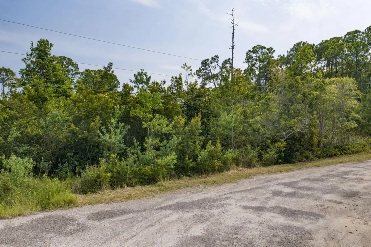 Lot 38 W Casa Grande Lane, Santa Rosa Beach, FL 32459 - #1