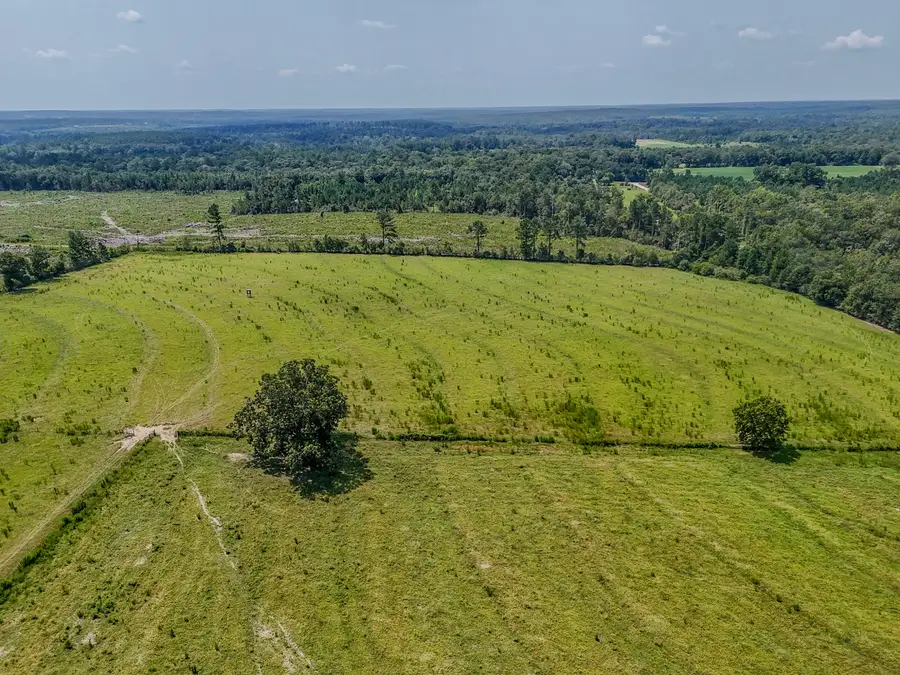 3957 Gopher Ridge Road, See Remarks, AL 00N/A - #2