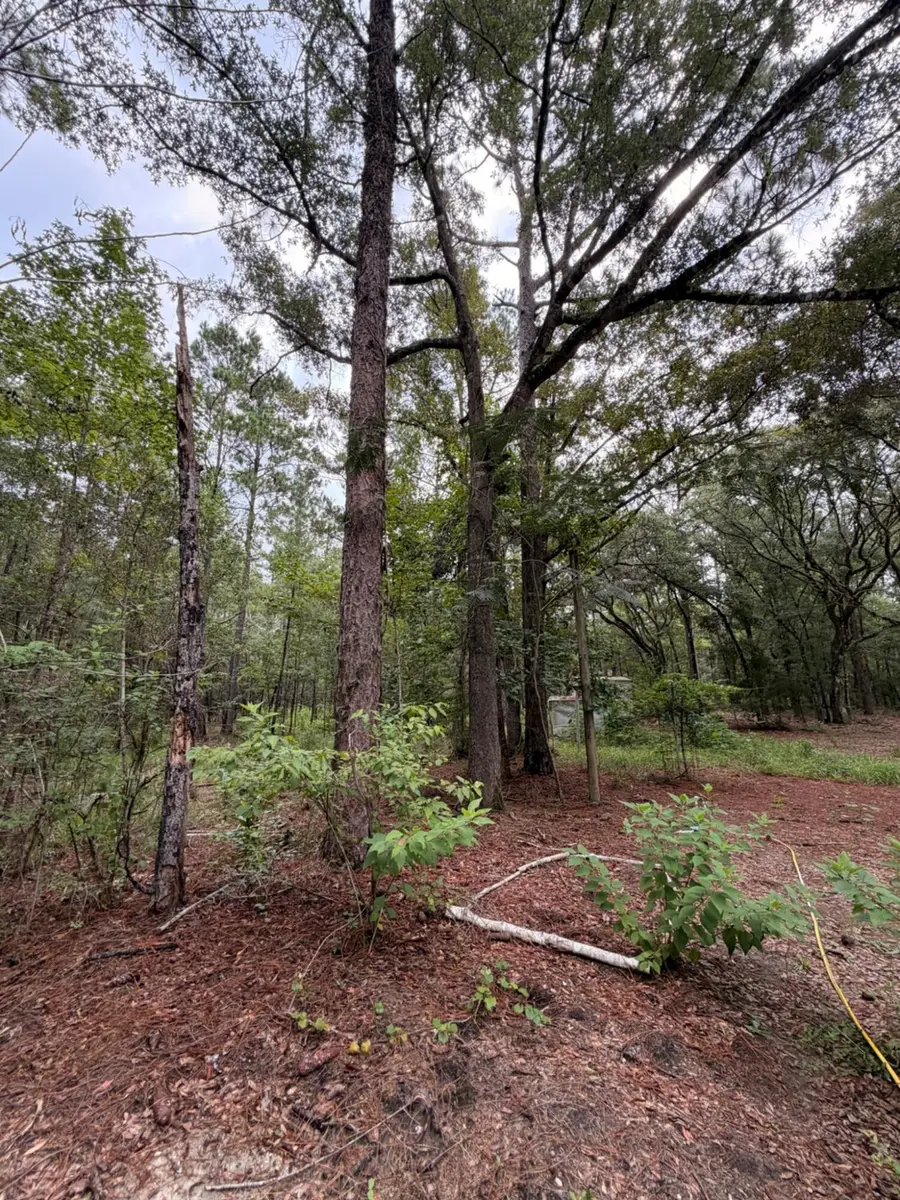 5266 Choctaw Road, Vernon, FL 32462 - #3