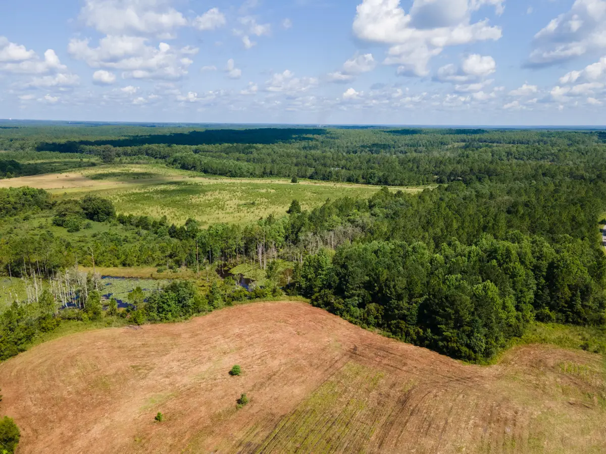 Lot 2 Campbell Road, Defuniak Springs, FL 32435 - #1
