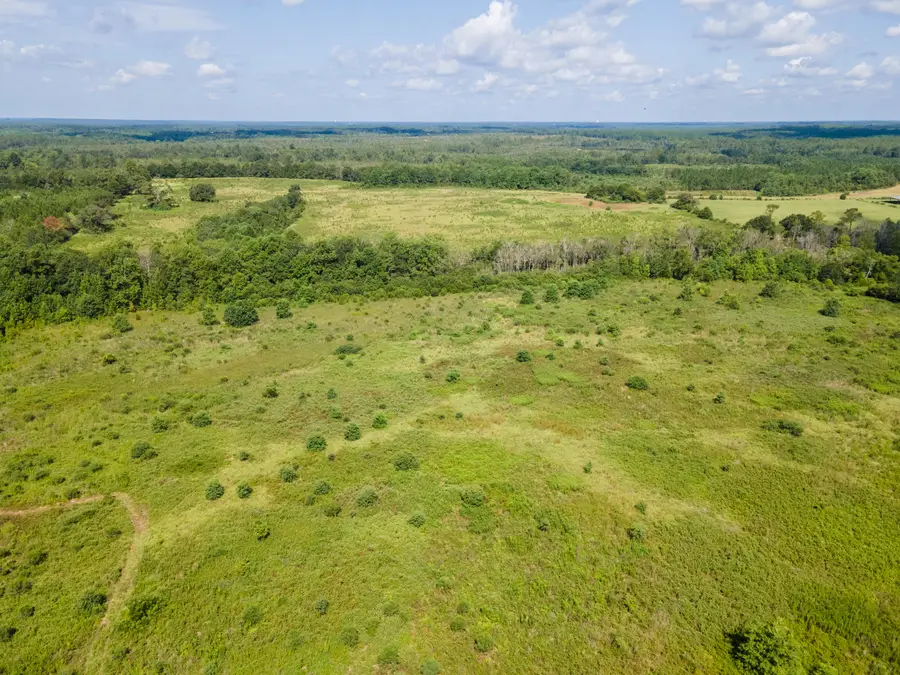 Lot 2 Campbell Road, Defuniak Springs, FL 32435 - #3