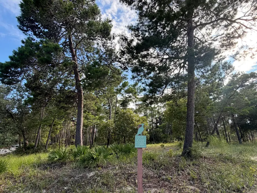 1209 W Water Oak, Panama City Beach, FL 32413 - #2
