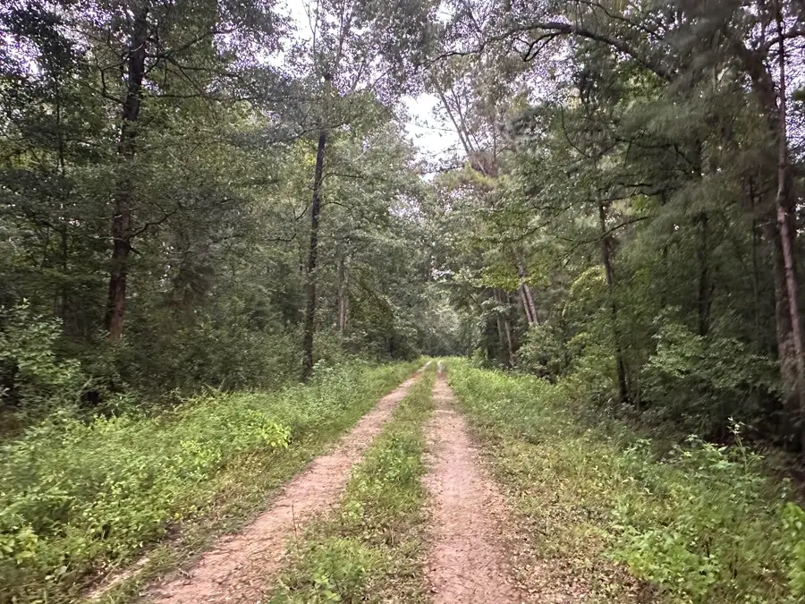 TBD Cr 381, Wewahitchka, FL 32465 - #3