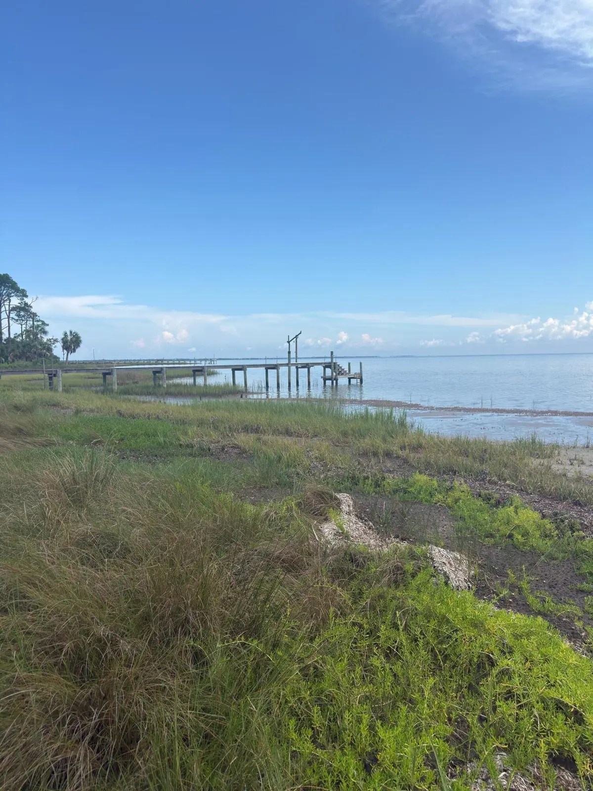 Lot 1 Cape San Blas Rd, Cape San Blas, FL 32456 - #1
