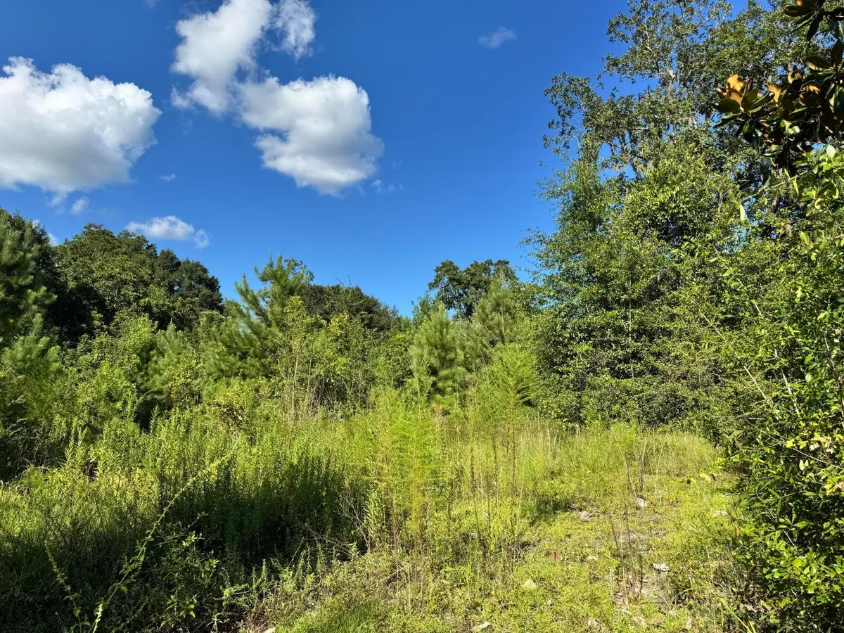 14 15 16 4th Avenue, Florala, AL 36442 - #1