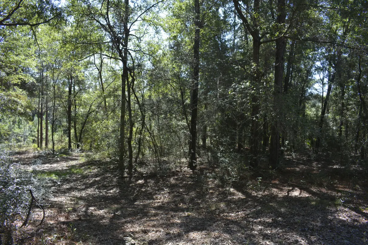 xxx 32 ac. Aplin Road, Crestview, FL 32539 - #1
