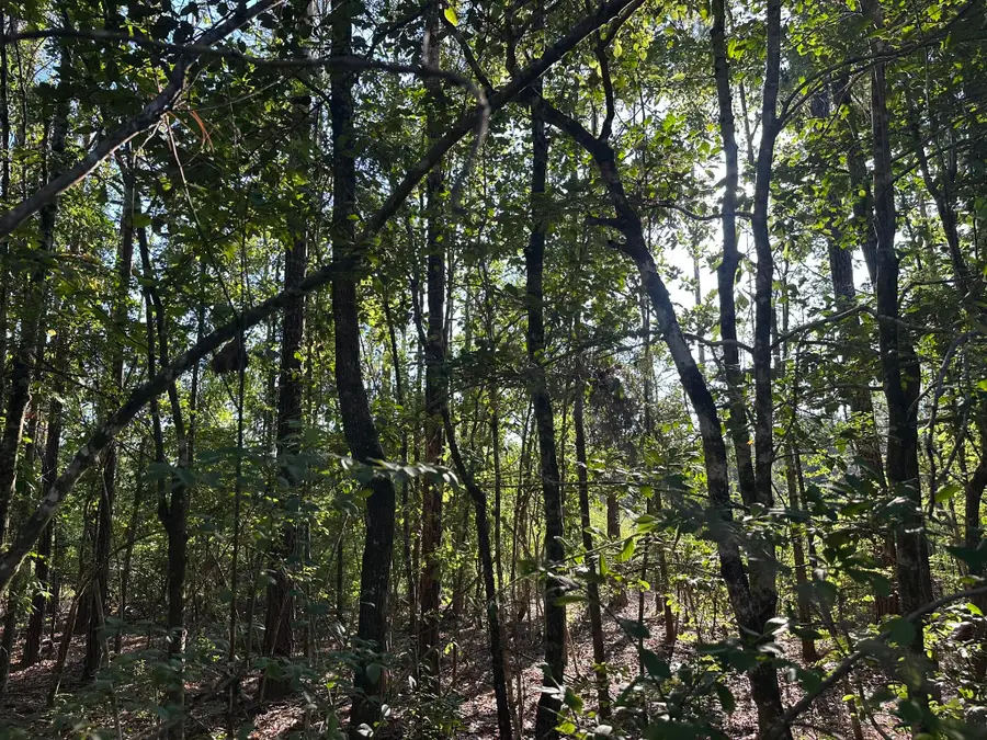 A1 Stewart Road, Baker, FL 32531 - #2