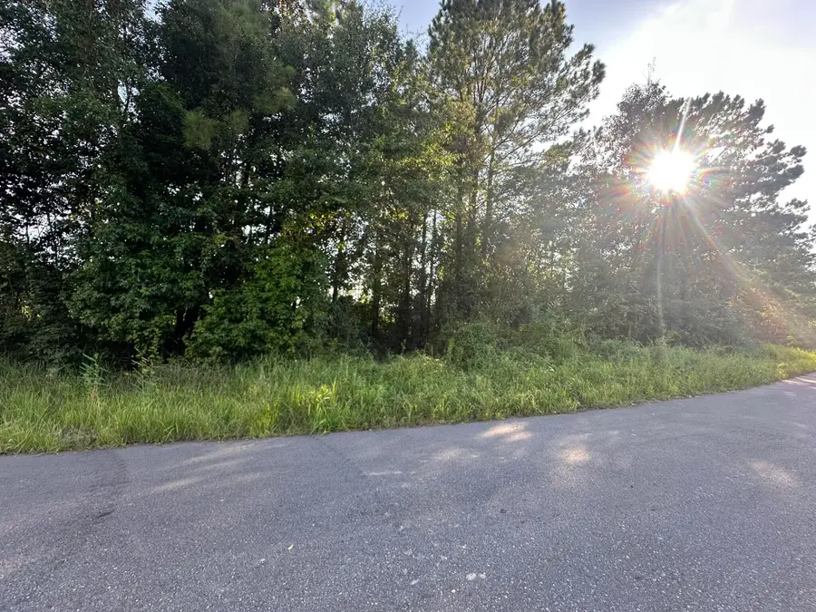 B1 Yellow River Baptist Church Road #B1, Baker, FL 32531 - #2