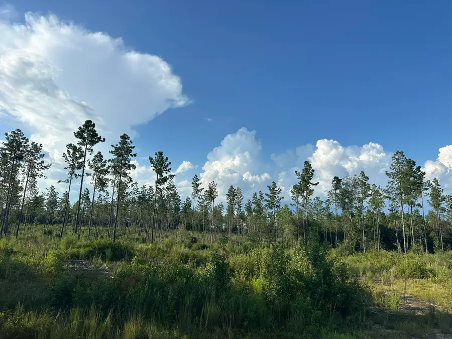 C1 Yellow River Baptist Ch Road #C-1, Baker, FL 32531 - #2