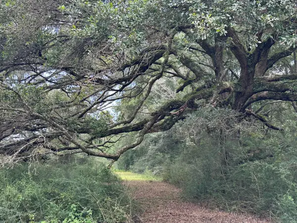 31+/-AC Cooper Lane, Holt, FL 32564