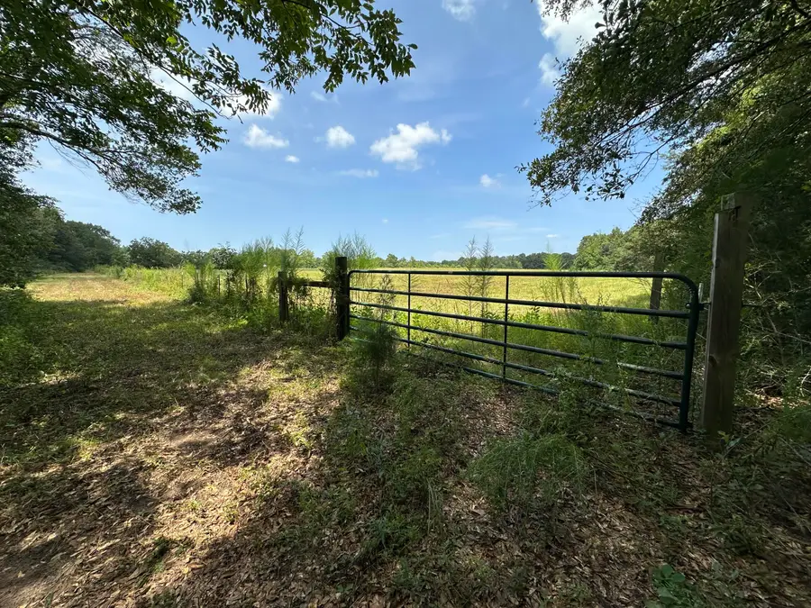 31+/-AC Cooper Lane, Holt, FL 32564 - #3