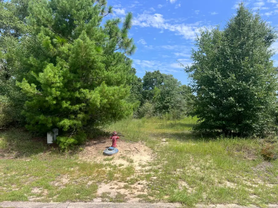 223 Sue Lane, Defuniak Springs, FL 32435 - #2