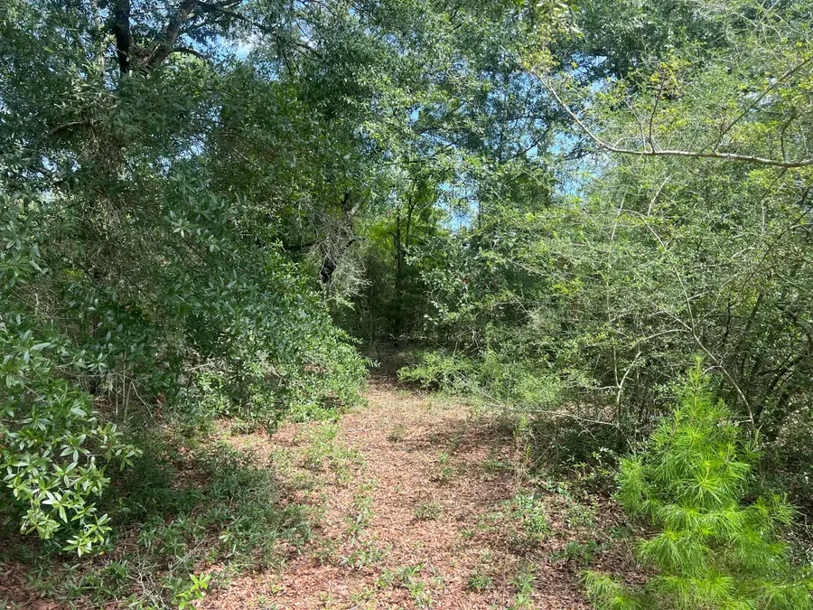 223 Sue Lane, Defuniak Springs, FL 32435 - #3