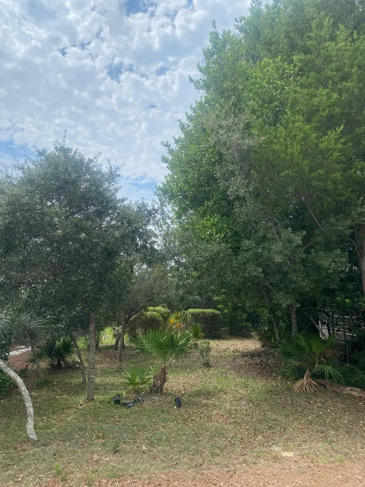 37 Saint Vincent Lane, Inlet Beach, FL 32461 - #1