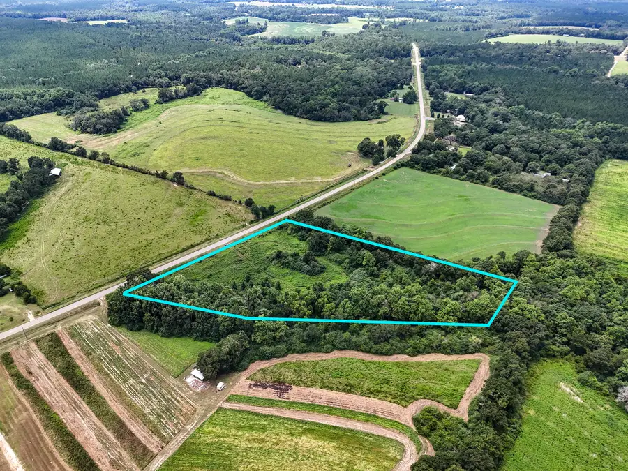 7 Acres NE County Road 32, Opp, AL 36467 - #3