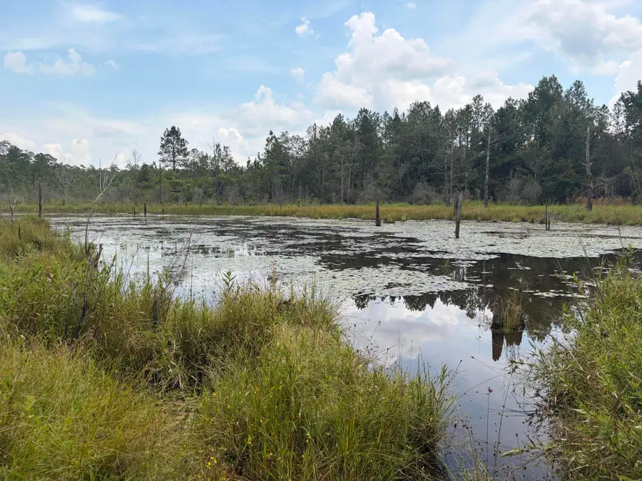 x Sherman Kennedy Road, Baker, FL 32531 - #2