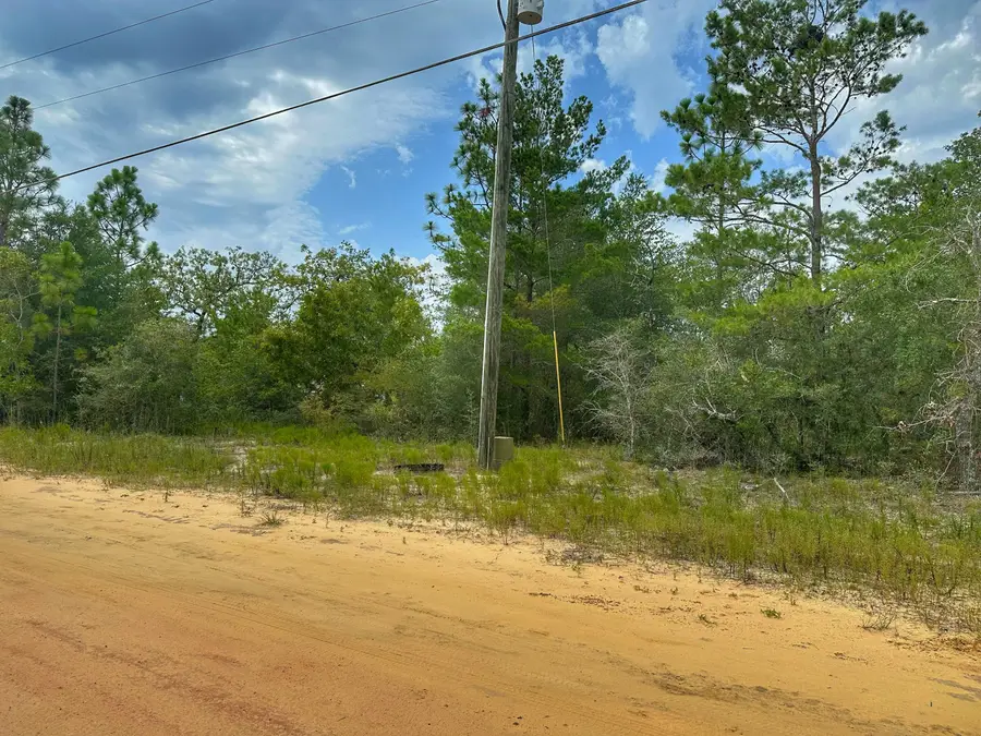 Lot 19 W Bach West Drive, Defuniak Springs, FL 32433 - #3