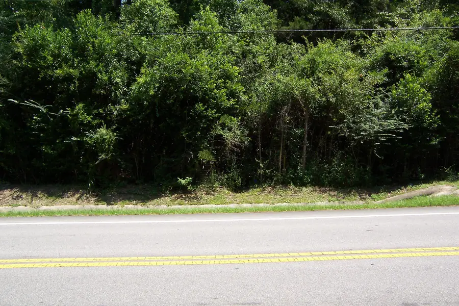 22808 N Us Highway 331, Laurel Hill, FL 32567 - #3